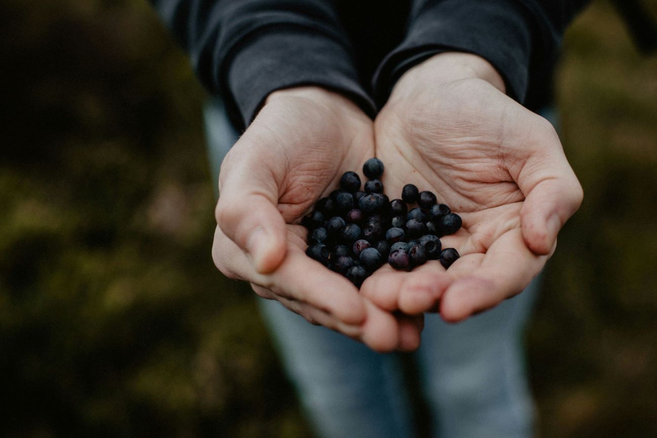 Herbal Support for Enlarged Prostate: Plant-Based Remedies to Promote Prostate Health at Work